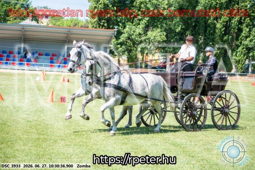 Mintakép 20260627-769