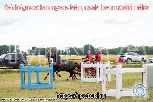 Mintakép 20260613-385