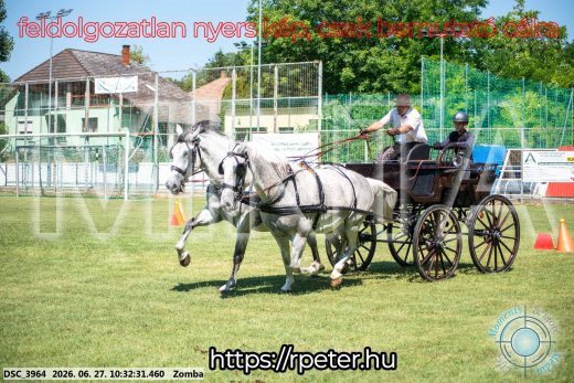 Mintakép 20260627-782