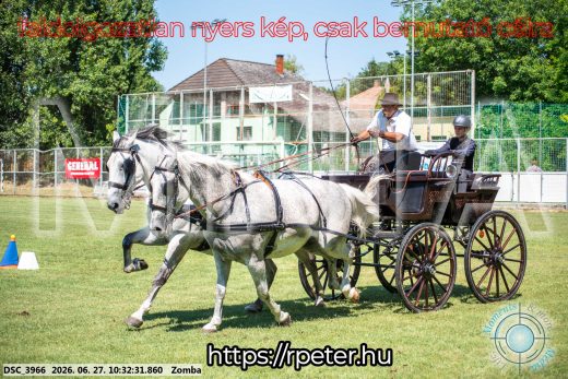 Mintakép 20260627-784