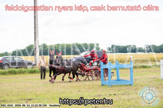 Mintakép 20260613-386