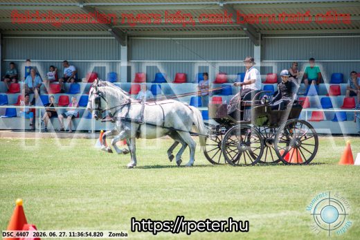 Mintakép 20260627-793