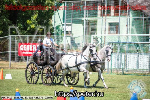 Mintakép 20260627-794