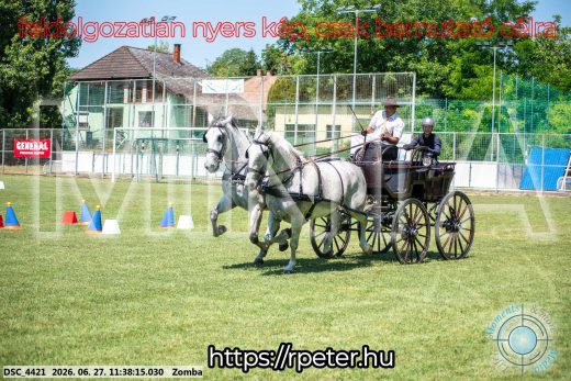 Mintakép 20260627-800