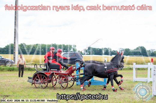 Mintakép 20260613-388