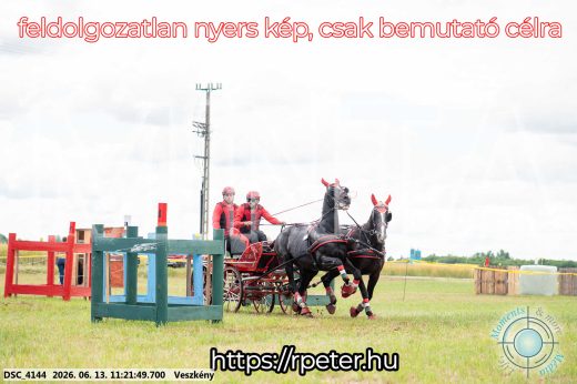 Mintakép 20260613-389