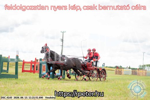 Mintakép 20260613-390