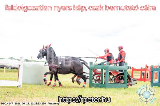 Mintakép 20260613-391