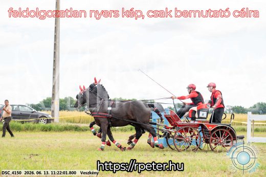 Mintakép 20260613-393
