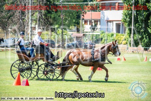Mintakép 20260627-865