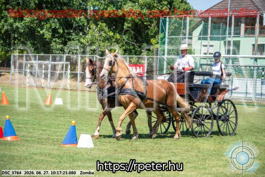Mintakép 20260627-873