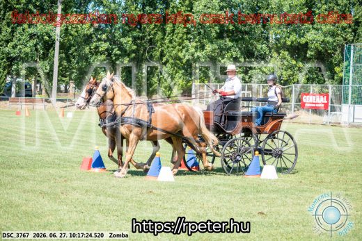 Mintakép 20260627-875