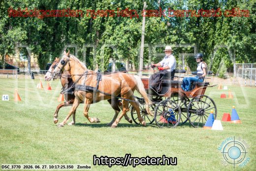 Mintakép 20260627-877