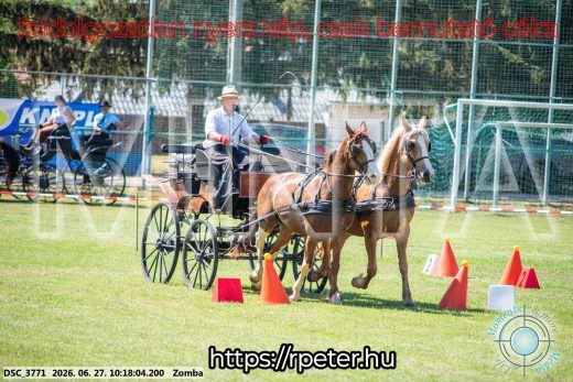 Mintakép 20260627-878