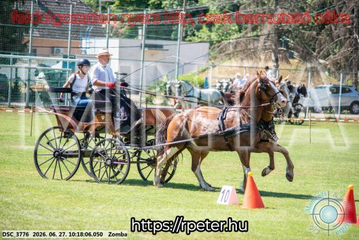 Mintakép 20260627-879
