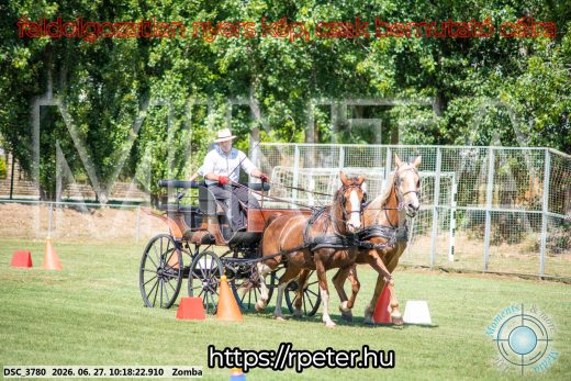 Mintakép 20260627-882