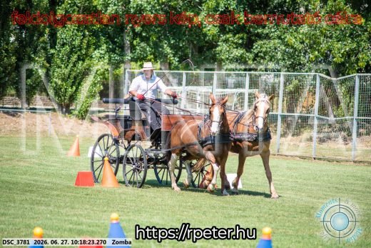 Mintakép 20260627-883