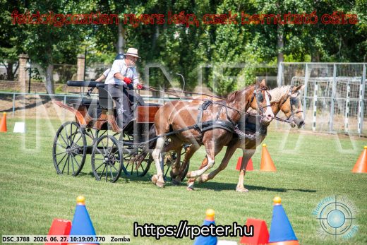 Mintakép 20260627-886