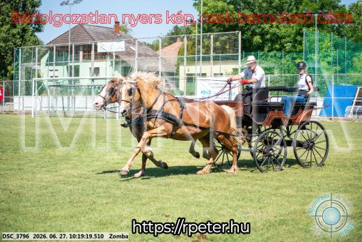 Mintakép 20260627-891