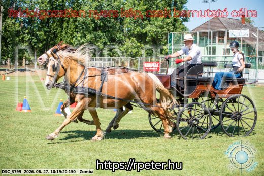 Mintakép 20260627-892