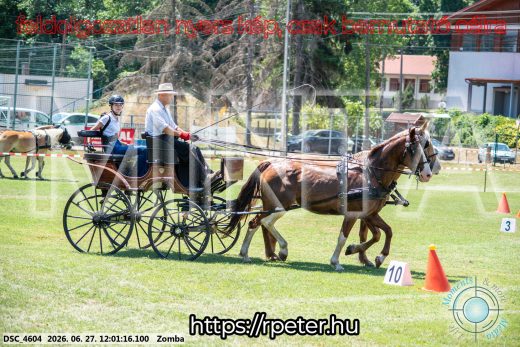 Mintakép 20260627-893