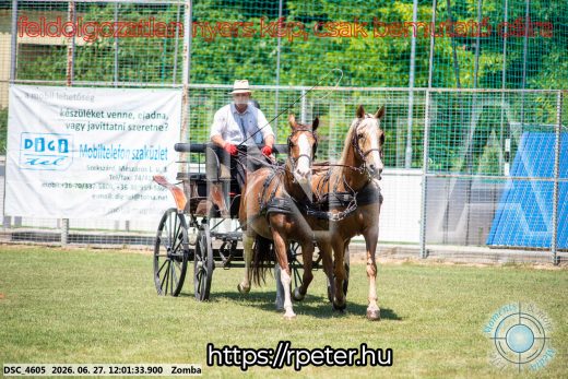 Mintakép 20260627-894