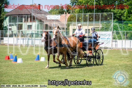 Mintakép 20260627-895