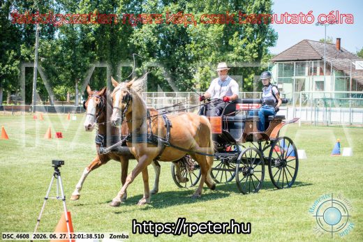 Mintakép 20260627-896