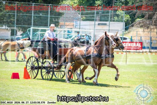 Mintakép 20260627-904