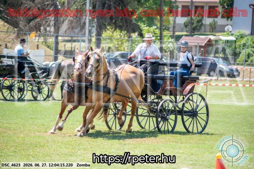 Mintakép 20260627-906