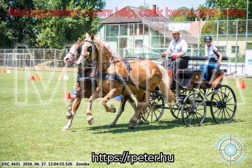 Mintakép 20260627-913