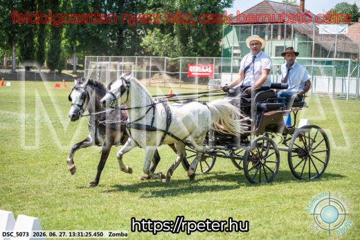 Mintakép 20260627-945