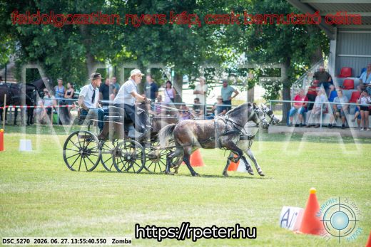 Mintakép 20260627-946