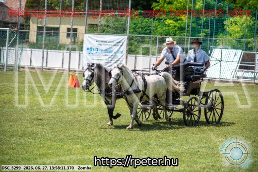 Mintakép 20260627-961