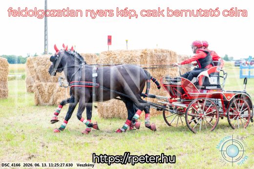 Mintakép 20260613-404