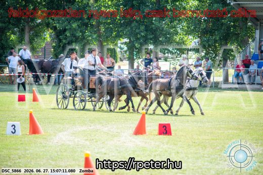 Mintakép 20260627-977