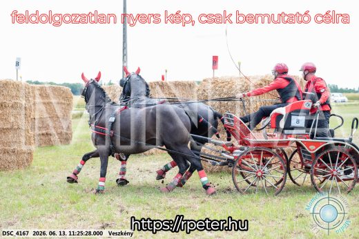 Mintakép 20260613-405