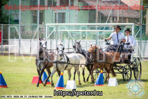 Mintakép 20260627-981