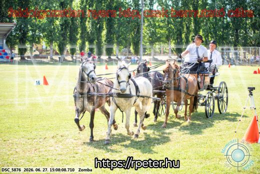Mintakép 20260627-984