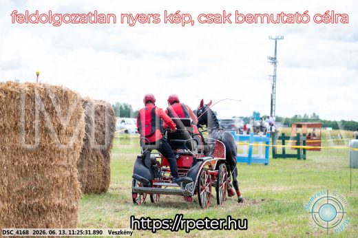 Mintakép 20260613-406