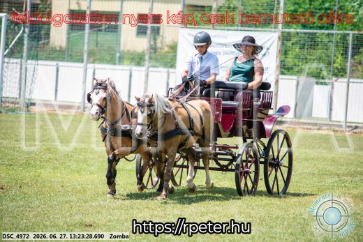 20260627-132328-DSC_4972.jpg