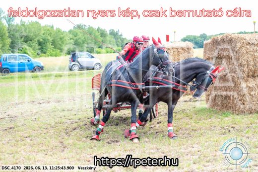 Mintakép 20260613-408