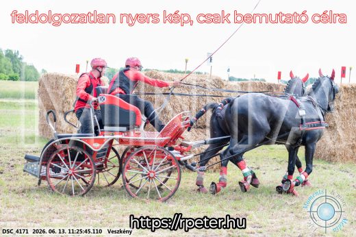 Mintakép 20260613-409