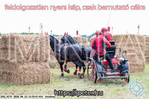 Mintakép 20260613-411