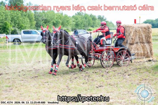 Mintakép 20260613-412