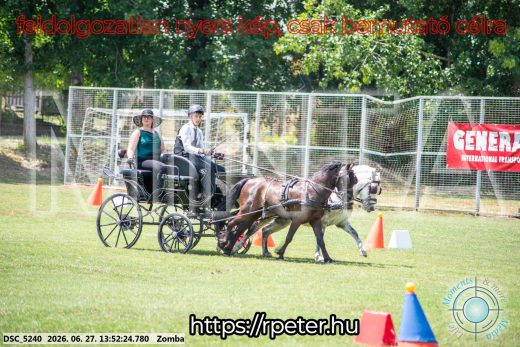 Mintakép 20260627-1061