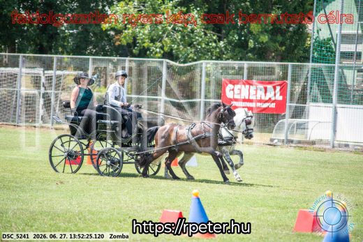 Mintakép 20260627-1062