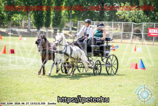 Mintakép 20260627-1067