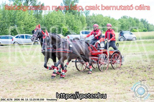 Mintakép 20260613-414