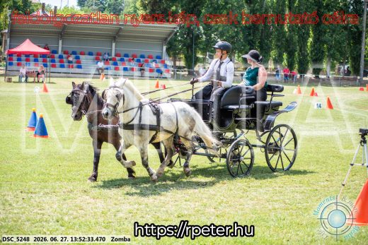 Mintakép 20260627-1069